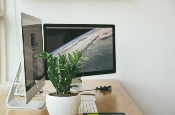 选择SSR或SSG取决于独立站的具体需求