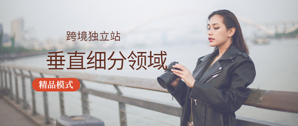 垂直独立站是品牌内容的分发中心