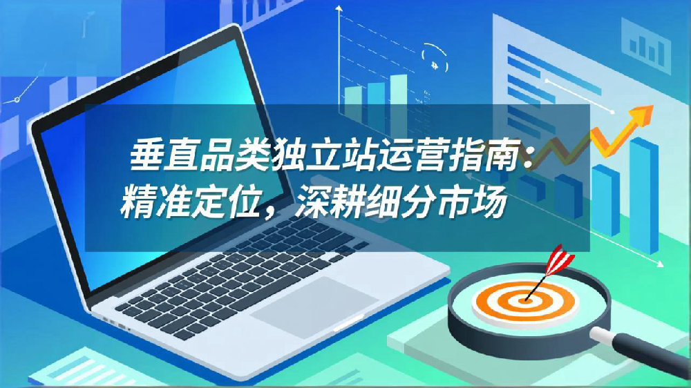 垂直品类独立站运营指南：精准定位，深耕细分市场