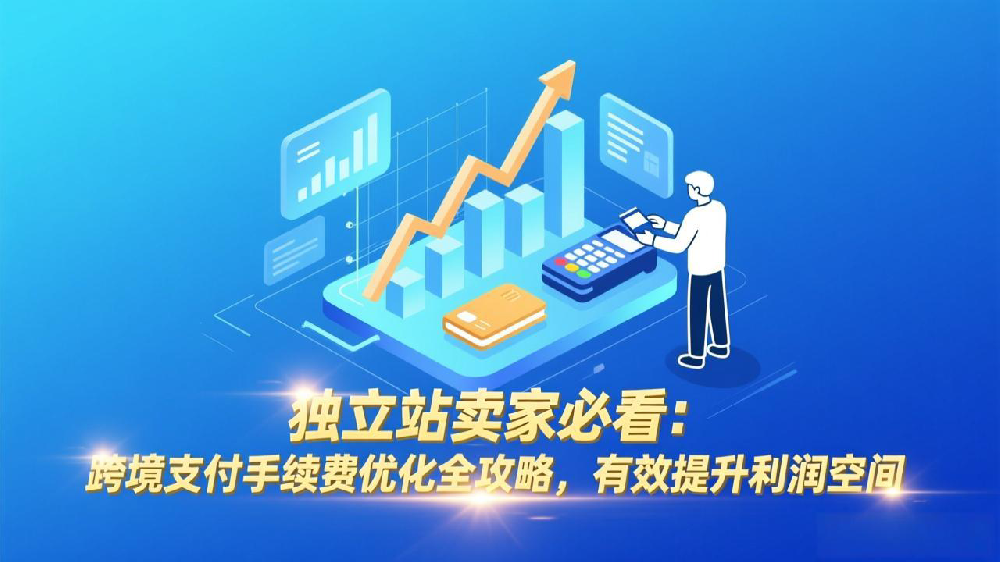 独立站卖家必看：跨境支付手续费优化全攻略，有效提升利润空间