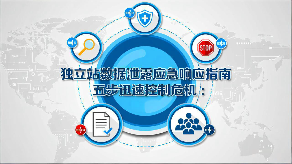 独立站数据泄露应急响应指南：五步迅速控制危机