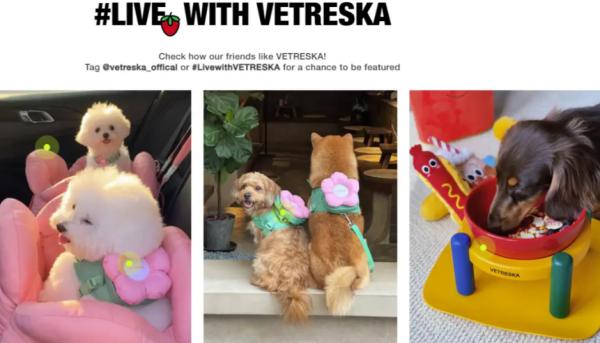 持续互动可获得消费偏好数据