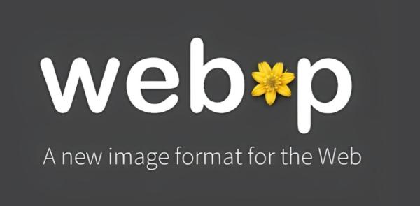 批量转换图片是高效部署WebP的关键