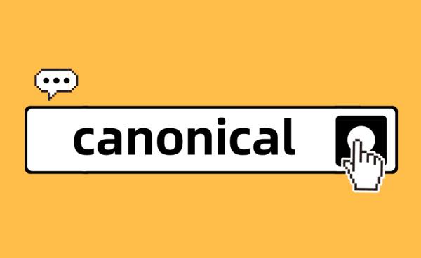 Canonical标签是HTML头部元素