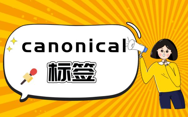 正确设置Canonical标签能显著提升独立站的SEO效率